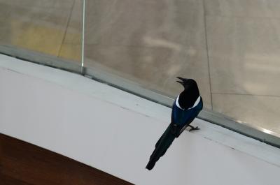 Прикрепленное изображение: DSC_1061_.JPG